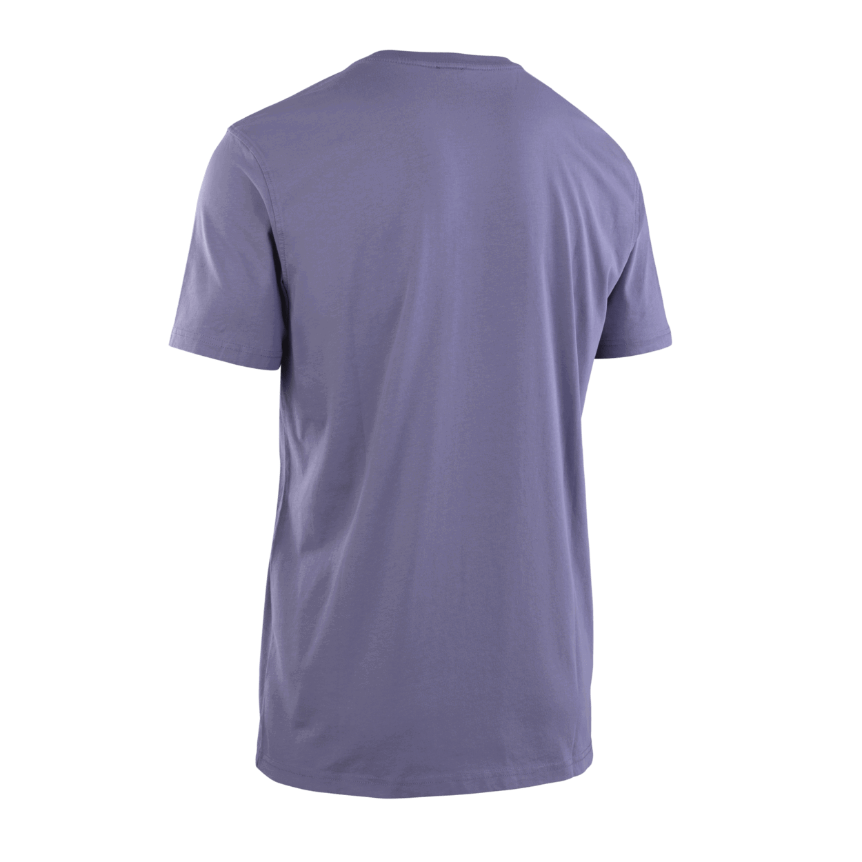 ION Tee Logo SS men 2022