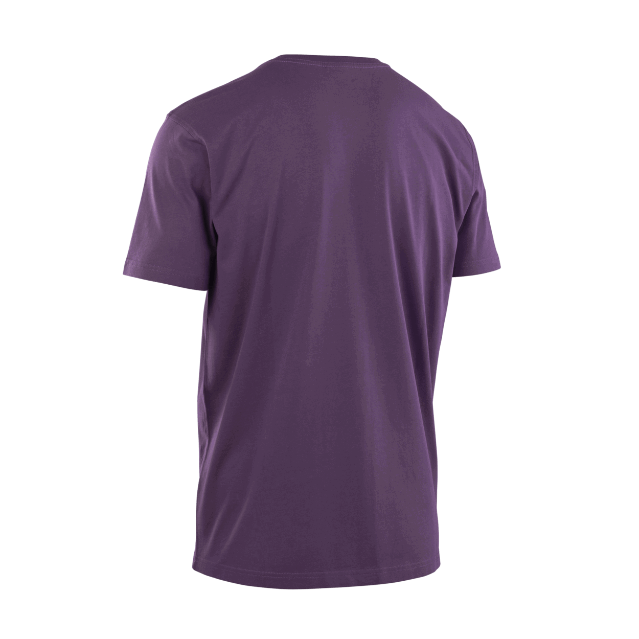 ION Tee Palm Huggers Short-Sleeve Men 2024