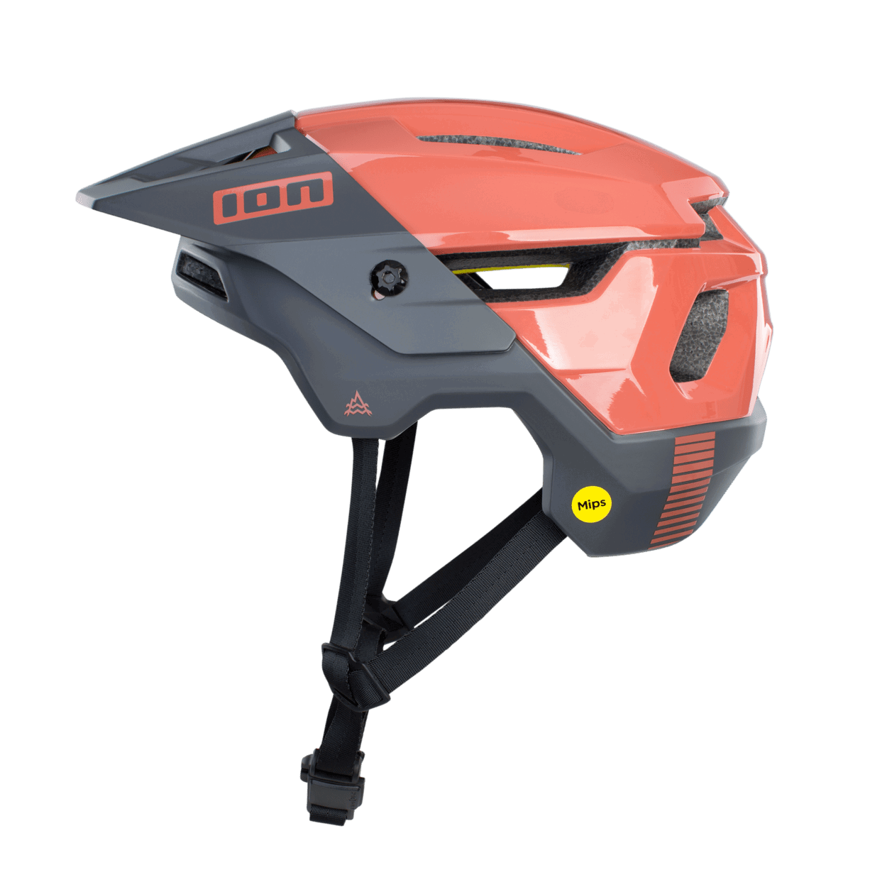 ION MTB Helmet Traze Amp MIPS 2024