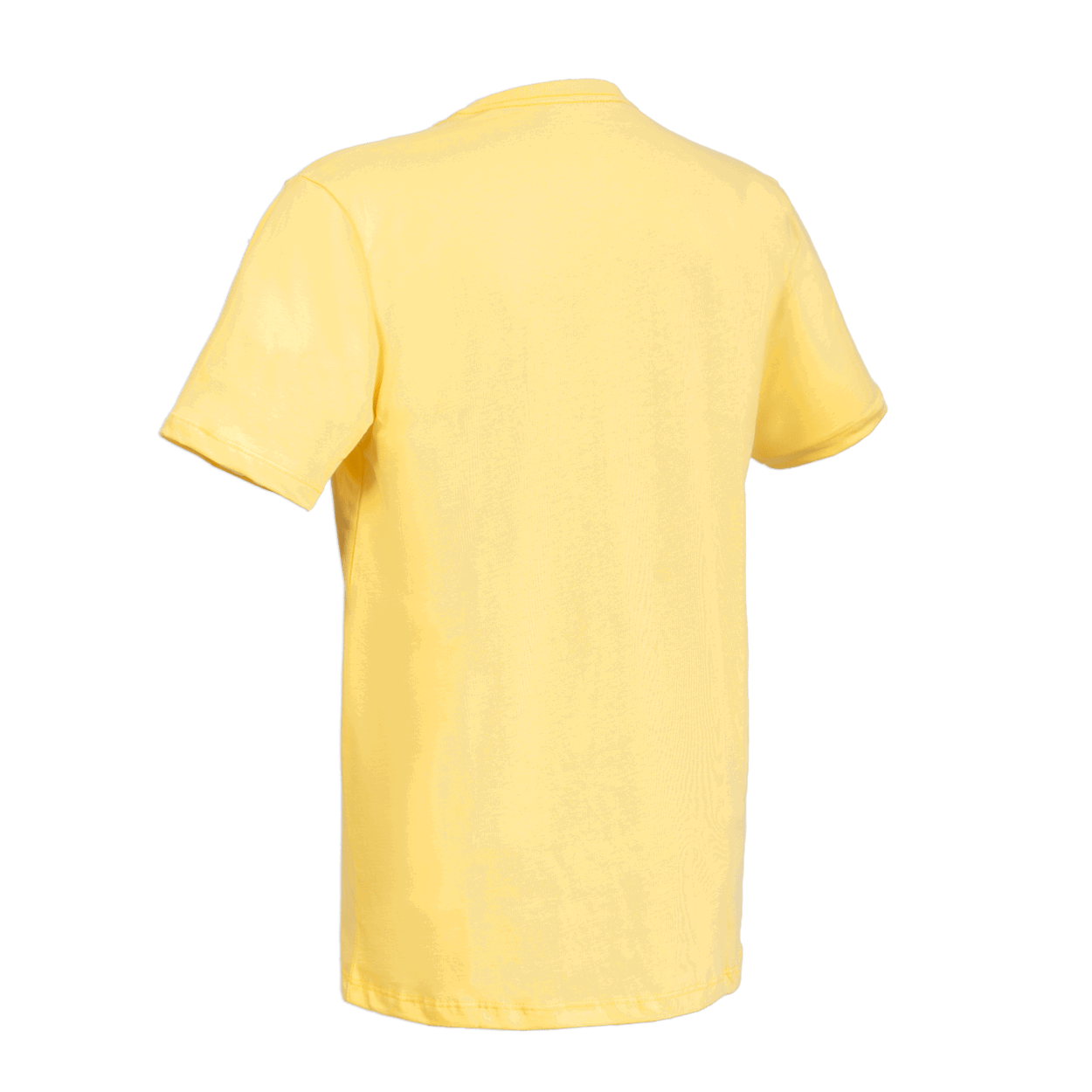 ION Tee Logo BRA SS men 2024