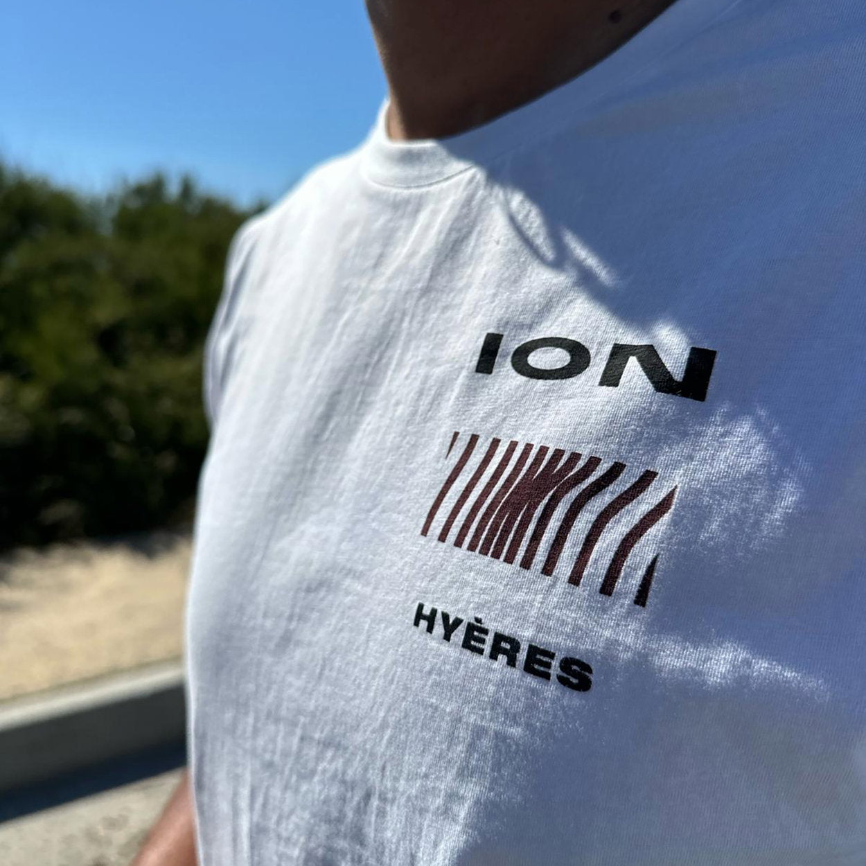 ION Tee Palm x DESTINATION SS  men 2025